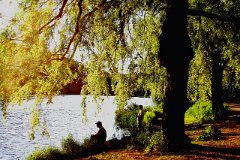 photo 0127